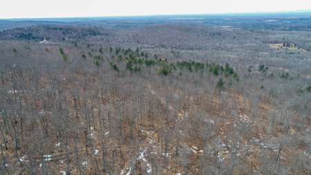 Expansive Mountain-View Acreage with Timber Value & Road Frontage - image 8