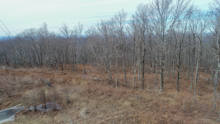 Expansive Mountain-View Acreage with Timber Value & Road Frontage - image 6