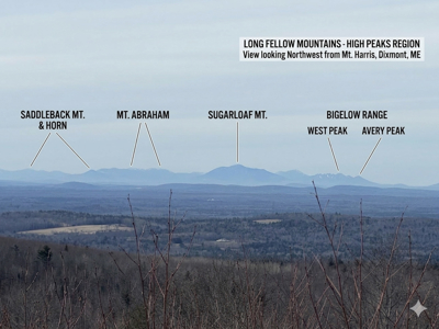 Expansive Mountain-View Acreage with Timber Value & Road Frontage - image 1
