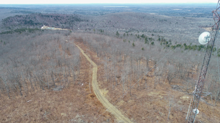 Expansive Mountain-View Acreage with Timber Value & Road Frontage - image 4
