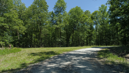 Lakeview Lot 7 in Gated Subdivision On Bull Shoals Lake - image 3