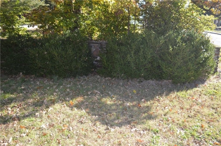 Prime .58 Acre Lot in Fayetteville Ready for Your Dream Home - image 4