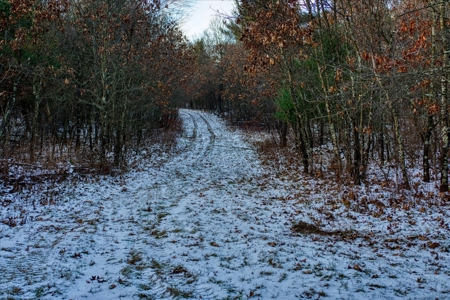 160± acre Monroe County property Located off dead end road, - image 27