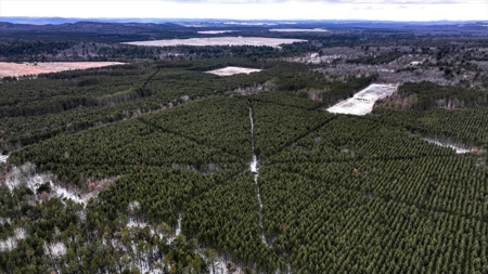 160± acre Monroe County property Located off dead end road, - image 7