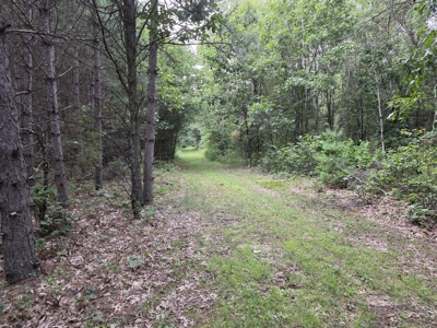 160± acre Monroe County property Located off dead end road, - image 15