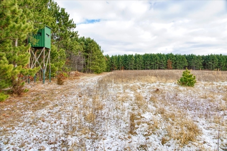 160± acre Monroe County property Located off dead end road, - image 1