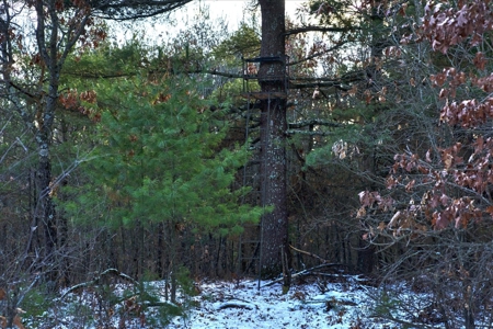 160± acre Monroe County property Located off dead end road, - image 28