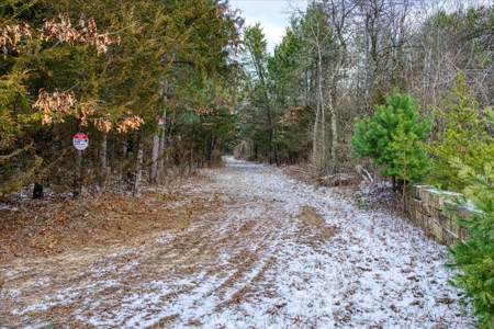 160± acre Monroe County property Located off dead end road, - image 18