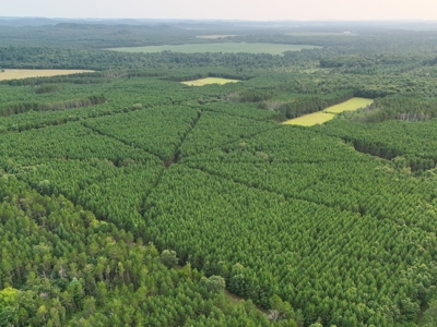 160± acre Monroe County property Located off dead end road, - image 46