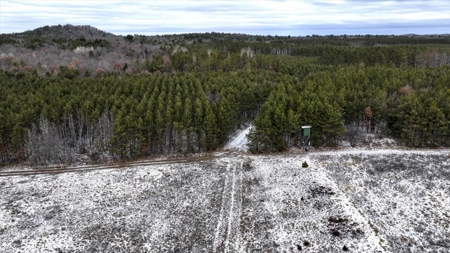 160± acre Monroe County property Located off dead end road, - image 6