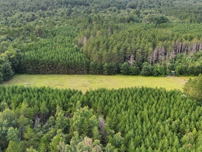 160± acre Monroe County property Located off dead end road, - image 32