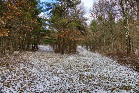 160± acre Monroe County property Located off dead end road, - image 32