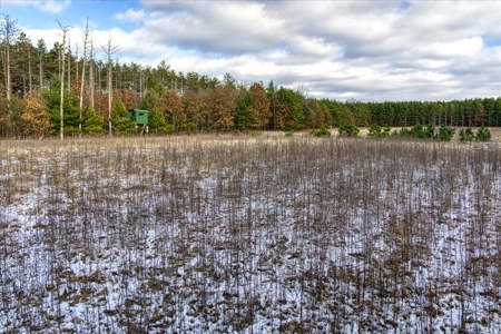 160± acre Monroe County property Located off dead end road, - image 11