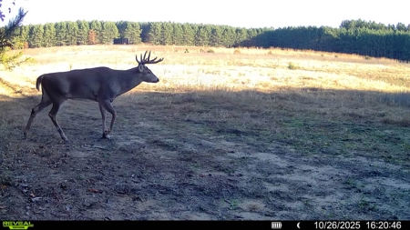 160± acre Monroe County property Located off dead end road, - image 3