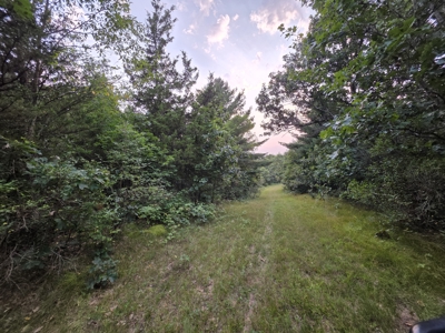 160± acre Monroe County property Located off dead end road, - image 34