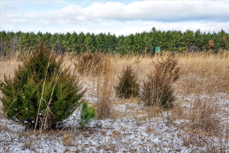 160± acre Monroe County property Located off dead end road, - image 13