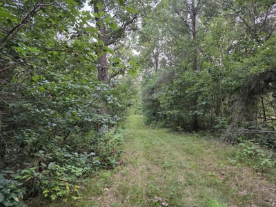 160± acre Monroe County property Located off dead end road, - image 30