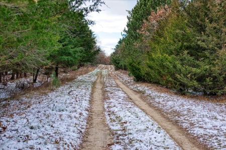160± acre Monroe County property Located off dead end road, - image 17