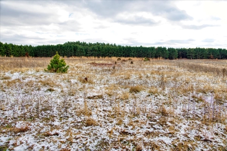 160± acre Monroe County property Located off dead end road, - image 14