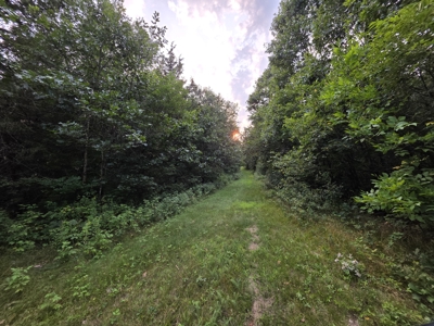 160± acre Monroe County property Located off dead end road, - image 29
