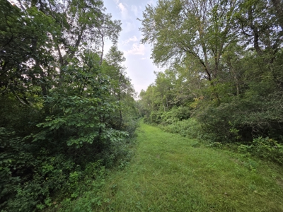 160± acre Monroe County property Located off dead end road, - image 24