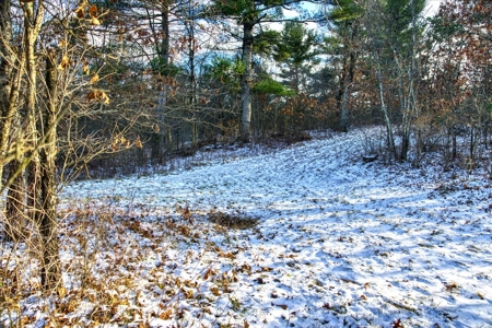 160± acre Monroe County property Located off dead end road, - image 19