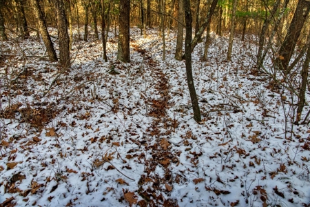 160± acre Monroe County property Located off dead end road, - image 21