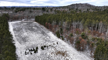 160± acre Monroe County property Located off dead end road, - image 8