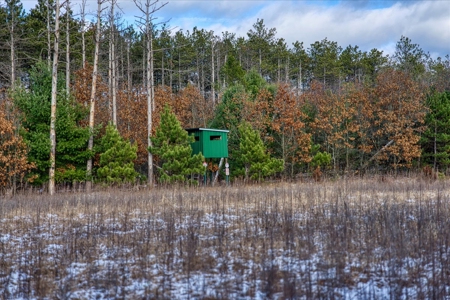 160± acre Monroe County property Located off dead end road, - image 31