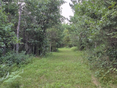 160± acre Monroe County property Located off dead end road, - image 33