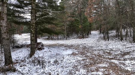 160± acre Monroe County property Located off dead end road, - image 26