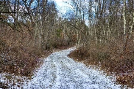 160± acre Monroe County property Located off dead end road, - image 5