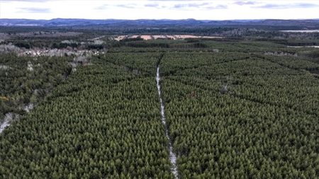 160± acre Monroe County property Located off dead end road, - image 30