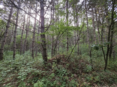 160± acre Monroe County property Located off dead end road, - image 8