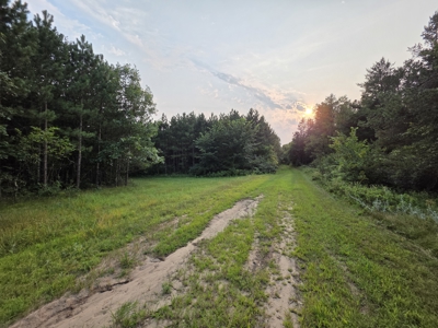 160± acre Monroe County property Located off dead end road, - image 9