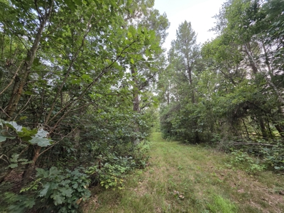 160± acre Monroe County property Located off dead end road, - image 14