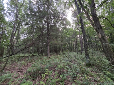 160± acre Monroe County property Located off dead end road, - image 20