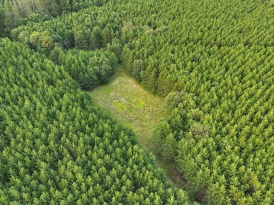 160± acre Monroe County property Located off dead end road, - image 22