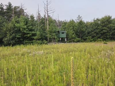 160± acre Monroe County property Located off dead end road, - image 26