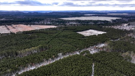 160± acre Monroe County property Located off dead end road, - image 24