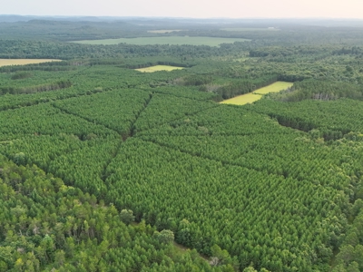 160± acre Monroe County property Located off dead end road, - image 4