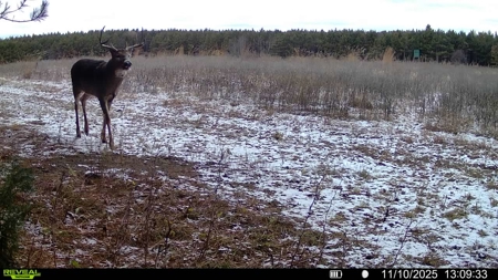 160± acre Monroe County property Located off dead end road, - image 20