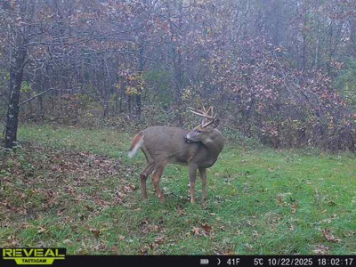 160± acre Monroe County property Located off dead end road, - image 25