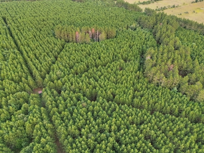 160± acre Monroe County property Located off dead end road, - image 10