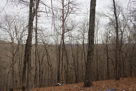 Fixer Upper Cabin in the Ozark Mountains For Sale - image 14