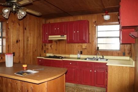 Fixer Upper Cabin in the Ozark Mountains For Sale - image 21