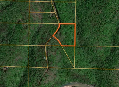 Fixer Upper Cabin in the Ozark Mountains For Sale - image 25