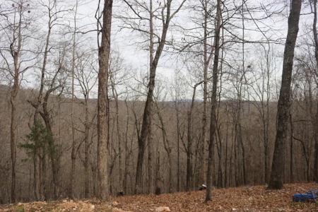 Fixer Upper Cabin in the Ozark Mountains For Sale - image 13