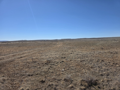40± Acres | West of Casper, Wyoming For Sale - image 11
