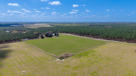 5-Acre Country Homestead, Cleared, Fenced, & Ready in McAlpin, FL - image 27